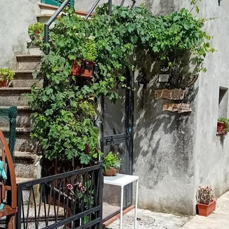 Nicolas House Campiglia dʼOrcia Exterior foto
