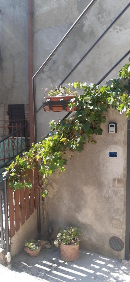 Nicolas House Campiglia dʼOrcia Exterior foto
