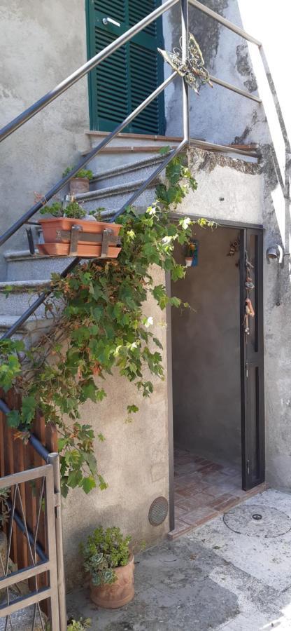 Nicolas House Campiglia dʼOrcia Exterior foto