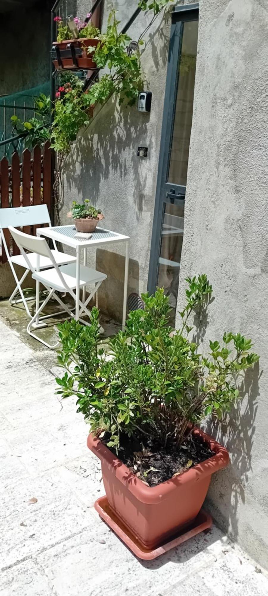 Nicolas House Campiglia dʼOrcia Exterior foto